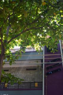 Prakash Homestay - 2
