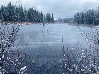 Le Gaston, chalet en campagne - 2