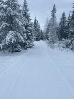 Le Gaston, chalet en campagne - 1