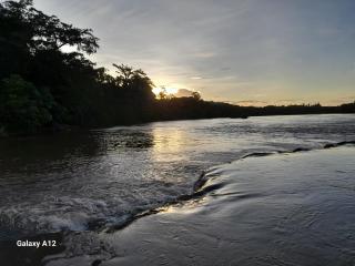 Chacaramoriá - Floresta - 4