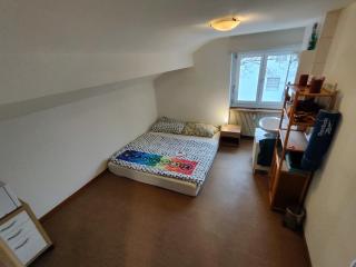 CozyStay near Basel - Münchenstein - 7