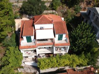 VILLA LEON*** - Mimice - 7