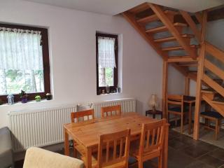 Apartman NANA Vlašić - Šišava - 0