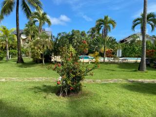 Appartement Paraiso 150m playa ballenas - Las Terrenas - 2