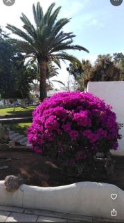 Peaceful and private chalet with terrace - Arona - 1