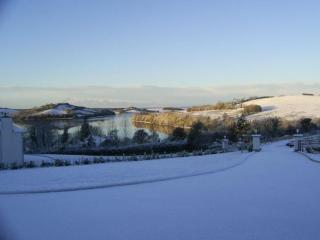 Rosswood Cottage - 7