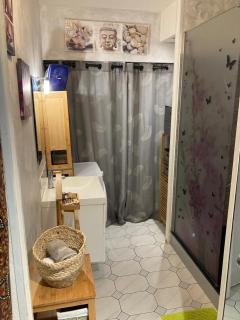 Bel appartement Saint François - Saint-François - 5