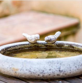 La Posada de Berge - 4