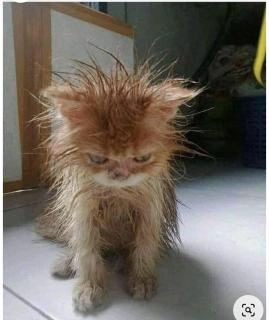 Fan room 10minute from Yeh Gangga Beach - 1