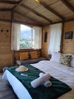 Glamping Entre Nopales, Villa de Leyva - Sáchica - 9