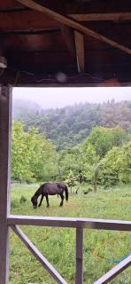 mountain house near a waterfall - - 1