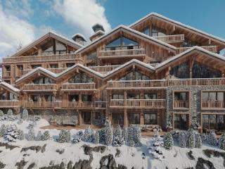Penthouse duplex de luxe avec services inclus - 5 chambres - FR-1-613-121 - Les Allues - 8