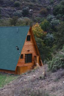 Cozy Glamping Cabin for Couples and Families - 8