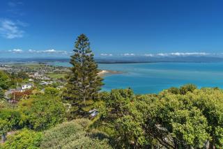 Moanaroa - Nelson Holiday Home - Nelson - 9