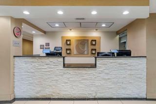 Comfort Inn Opelika - Auburn - Opelika - 5