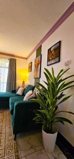 Kian Nest - 9
