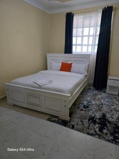 The comfort 2 bedrooms pioneer - Eldoret - 4
