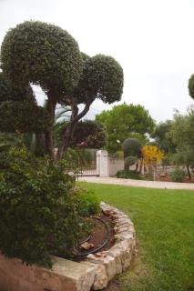 Villa Forester - Puglia Mia Apartments - 2