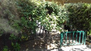 Studio Jardinet - 5