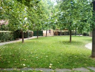Studio Jardinet - Montpellier - 0