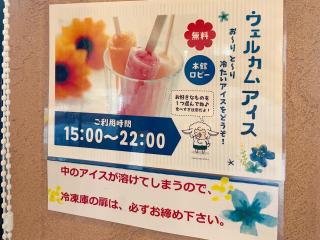Route Inn Grantia Ishigaki - 7