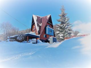 Vila Anna Wellness - Halenkov - 1