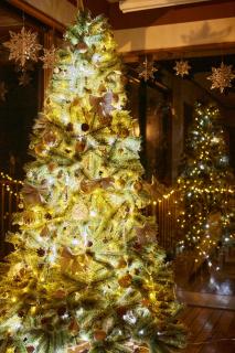 プライベートリゾート碧海 - 5