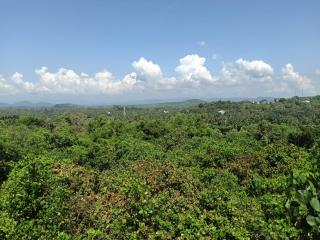 Hill View Paradise - Gokarna - 8