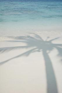 Park Hyatt Sanya Sunny Bay Resort - Sanya - 2