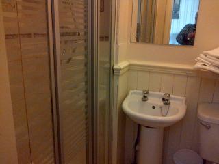 Lewinsdale Lodge - Weston-super-Mare - 4