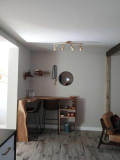 Cozy 1BR Gem Close to City Life - Tucson - 5