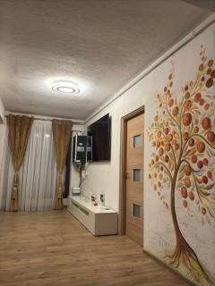 Apartament 3 camere Sibiu Dna Stanca - Şelimbăr - 6