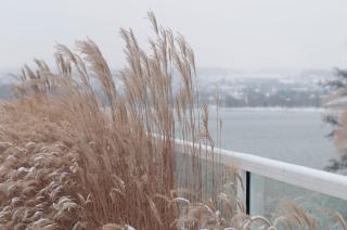 RIVA - Das Hotel am Bodensee - 9