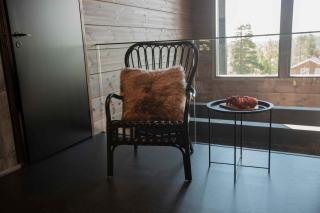 Aavalevi Villa Aspen D - Levi - 3