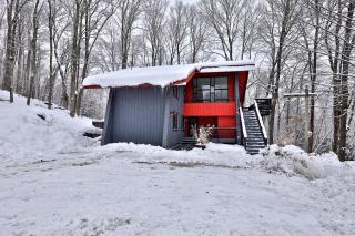 Whitetail Chalet home - Killington - 4