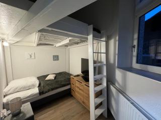 Tiny Ferienhaus Rathenaustrasse - Reichenbach im Vogtland - 5