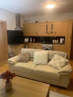 Wood Apartment in Mountain View Complex - 8