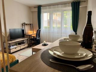 Porte Du Soleil - Cosy Studio Centre - Strasburgo - 4