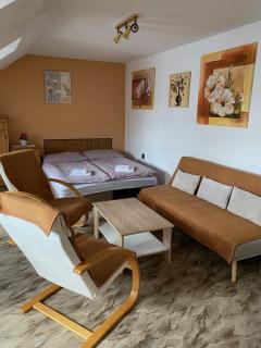 Apartmán Na Ostrově Beroun - Beroun - 6
