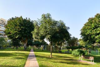 Paradise Playamar Torremolinos - Torremolinos - 7