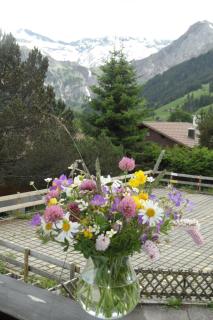 Apartment Sunnegruess by Interhome - Adelboden - 1