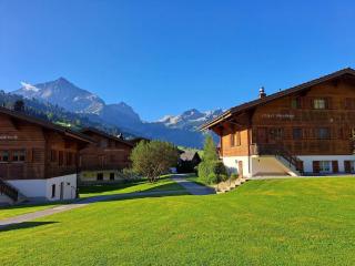 Apartment Spitzhorn Nr- 1 by Interhome - Gsteig - 8