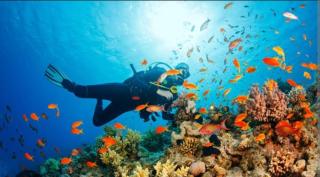 Silver sea stay - Gokarn - 2