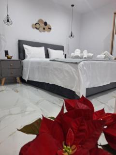 Studio HARMONY - Thessaloniki - 8
