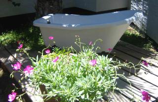 Alternative Space B & B - Swakopmund - 5