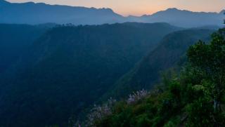 Mannath Private Pool Villas at Vellarimala - - 9