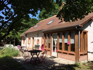 Le Clos de la Michaudiere, spa, calme et nature en famille - Cellettes - 9