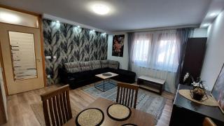 Apartman JOY - free Parking in a private garage! - Sarajevo - 6