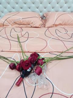 Venera Lux Apartman - 3