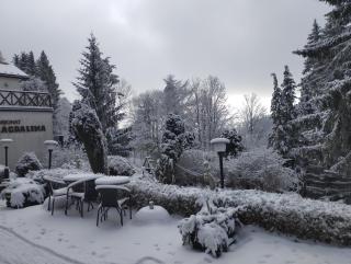 Pensjonat Magdalena - w cichym i spokojnym miejscu - zwierzęta akceptowane, bezpłatny parking - 3